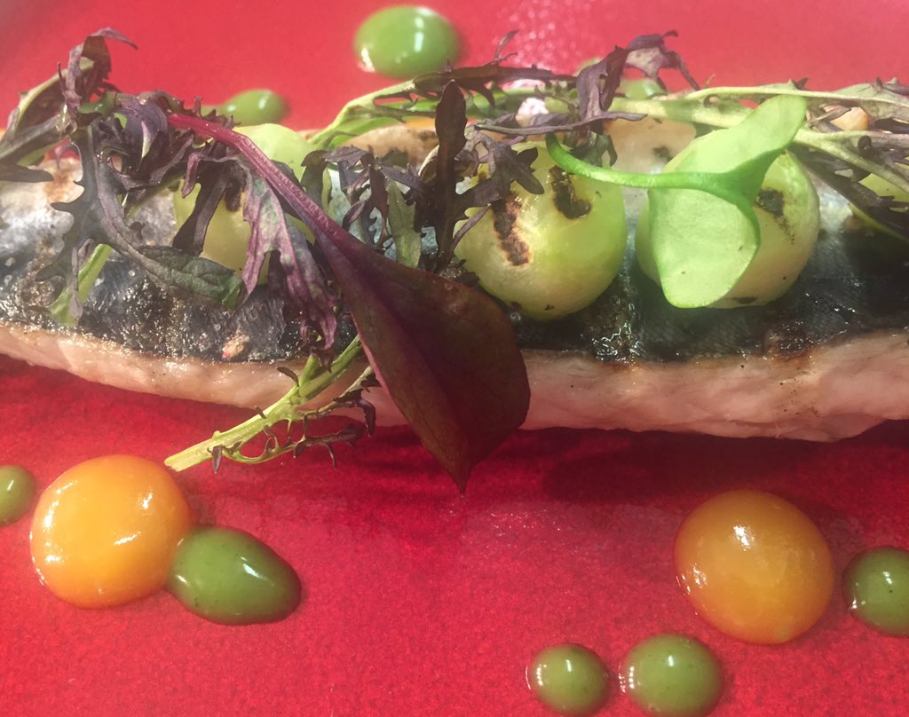 BrasserieGalway's tweet photo. @NBFBlog Menu ideas for 25th.Looking forward to meeting you! #naturalbornfeeder #localmackerel https://t.co/0FESn2oLxA