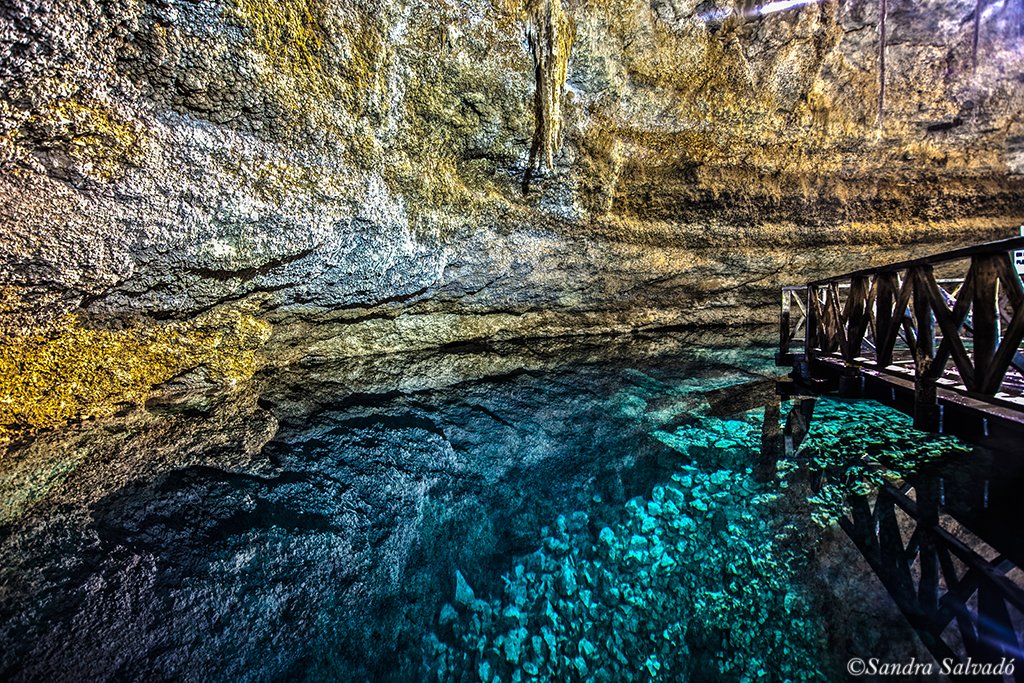 Caminomascorto's tweet photo. Cenote Multum Ha, mi favorito en #Coba
https://t.co/uhomNqpwIO
#cenotes #cenoteando #QuintanaRoo #multumha https://t.co/8bzIVJ1PJQ