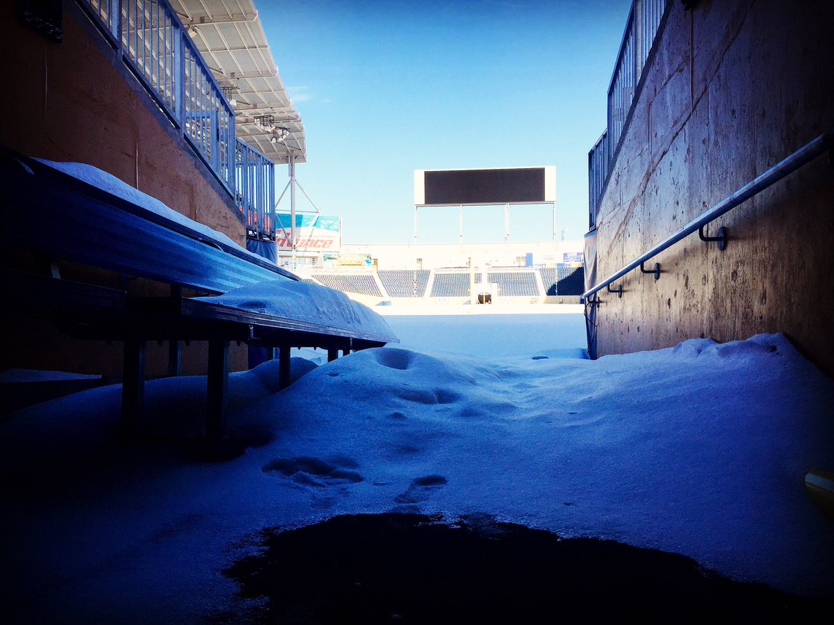 Wpg_BlueBombers's tweet photo. .@marcotwentysix bring a shovel. We've got this. #IsItJuneYet https://t.co/Wijbxsqttd