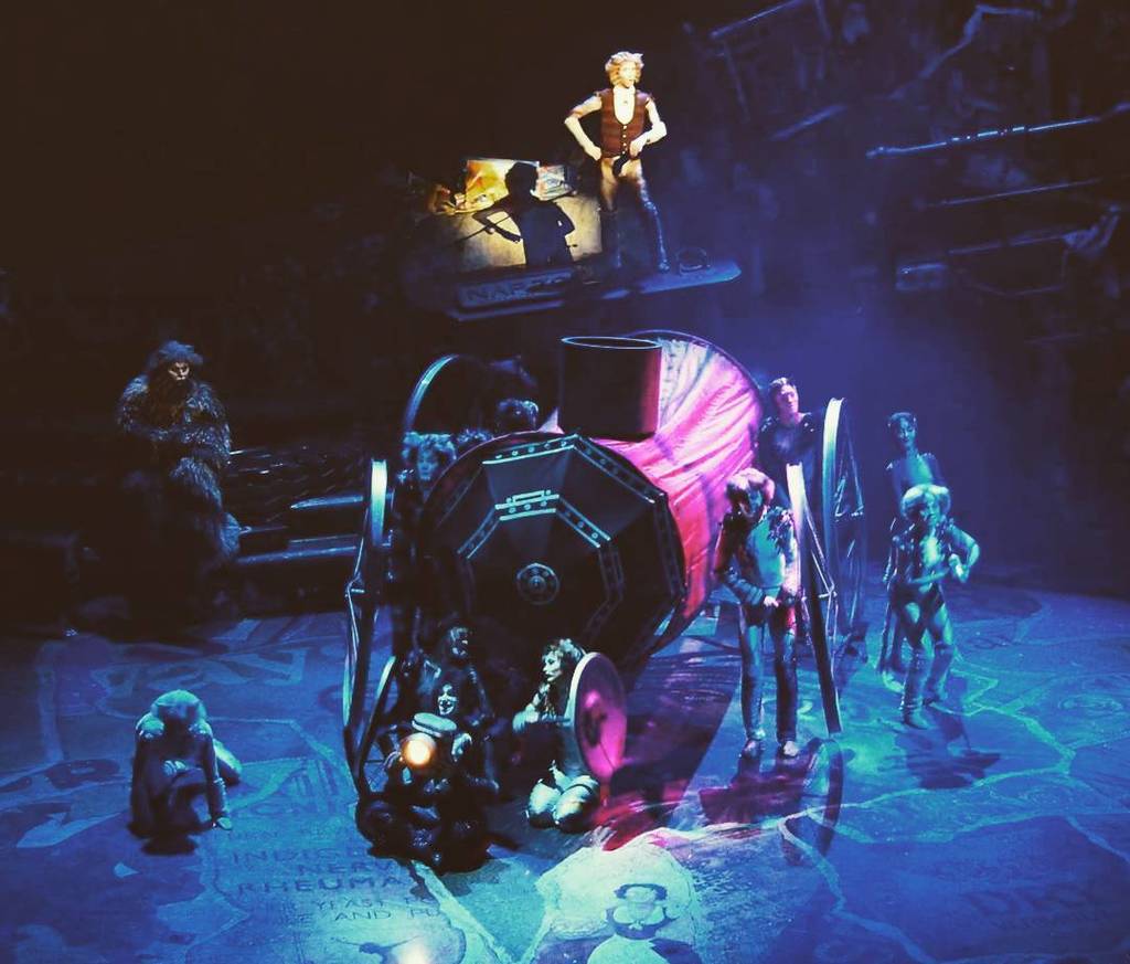 Catstagram's tweet photo. #catstagram #ねこ by augustinechene https://t.co/JCy6ivom5o #cats #catslemusical #danse #dancelife #dance #best #da… https://t.co/SE8w8VANGj