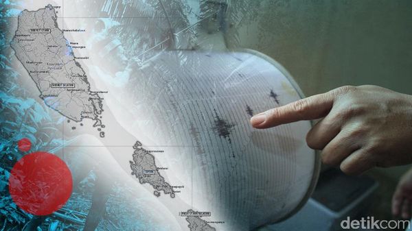 detikcom tweet media