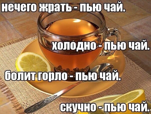 TvityVtvitter's tweet photo. https://t.co/UCFJYEmQ5k
https://t.co/UCFJYEmQ5k
https://t.co/UCFJYEmQ5k
https://t.co/UCFJYEmQ5k https://t.co/eS3Z0lmaWX