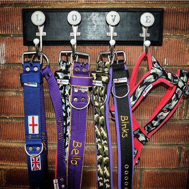 elperrouk's tweet photo. Bella and Binks have the coolest customised gear!

https://t.co/1DOLsDCrzz https://t.co/Tnu3mb7mWP