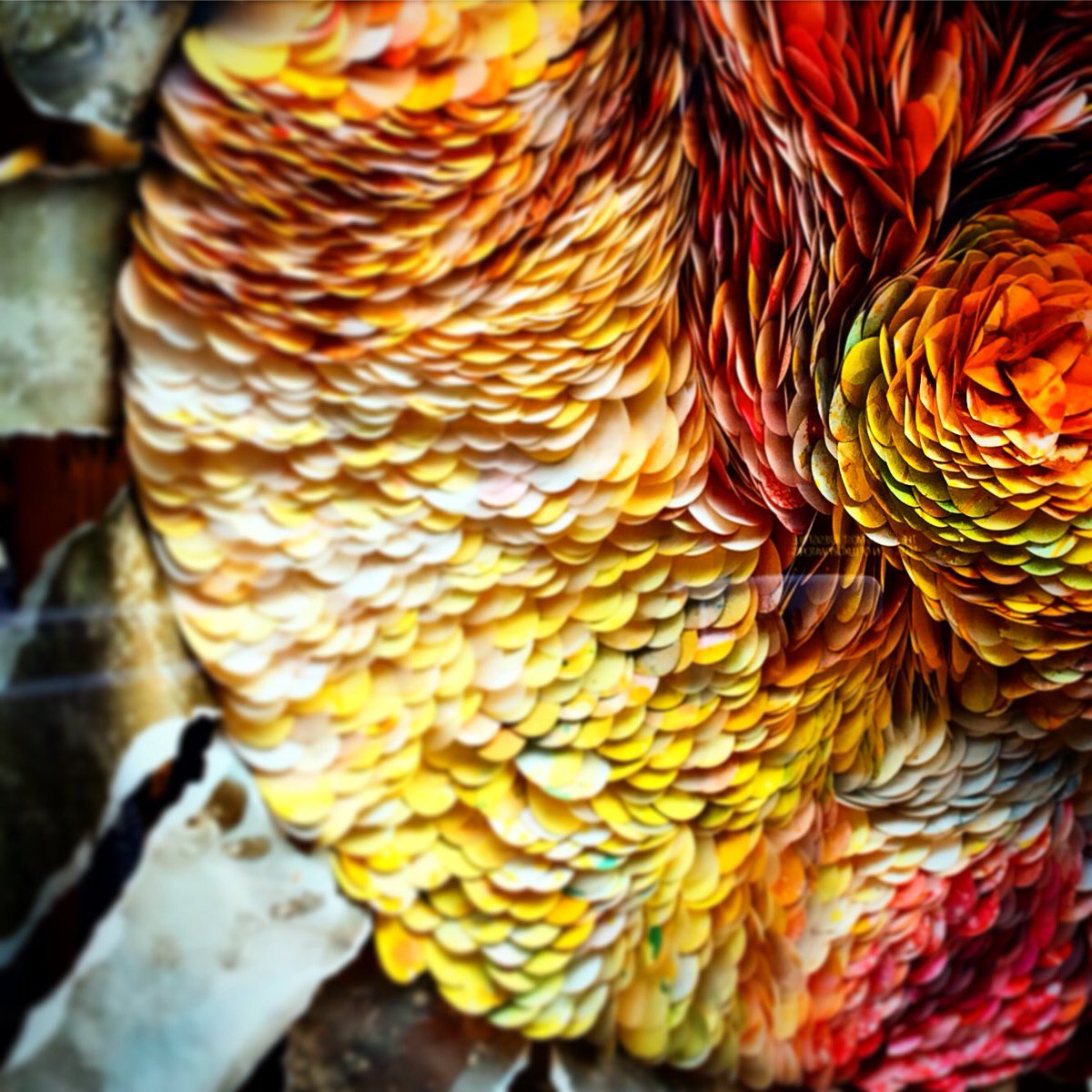 o2idesign's tweet image. Yesterday, admiring #springwindows &amp;amp; #productshowcase