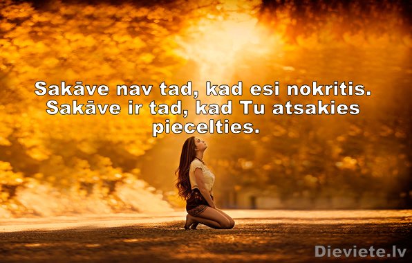 dievietelv tweet picture