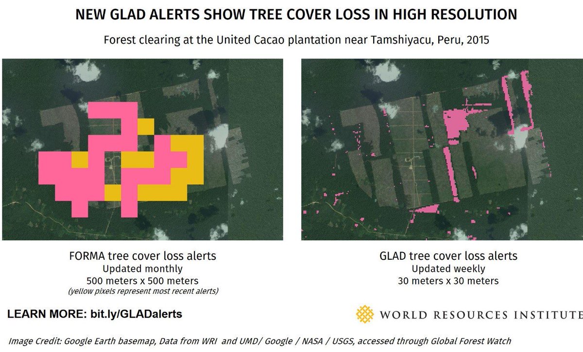 ManishBapnaNRDC's tweet photo. GLAD Tree Cover Loss Alerts on GFW are game changer for forest monitoring– https://t.co/iMnyWIfESS #MonitorWithGLAD https://t.co/Y1OnuUao5U