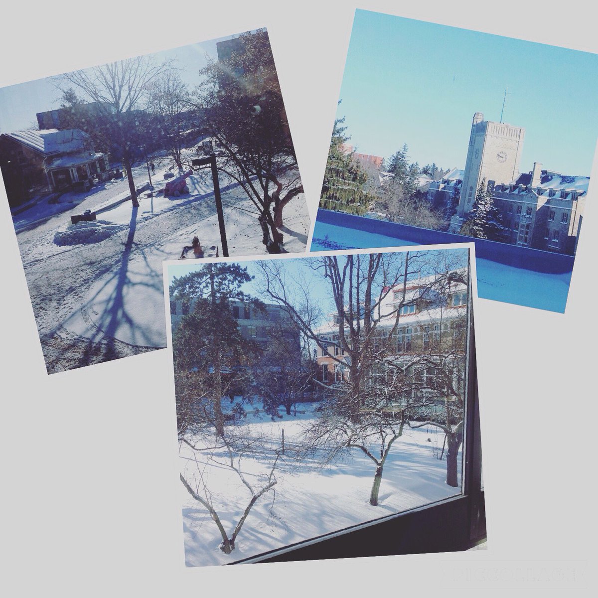 uglibrary's tweet photo. Doesn't campus look beautiful with the fresh snow? Stay warm and enjoy the sunshine! #ViewFromTheLibrary #UGlibrary https://t.co/COoYV3cMIT