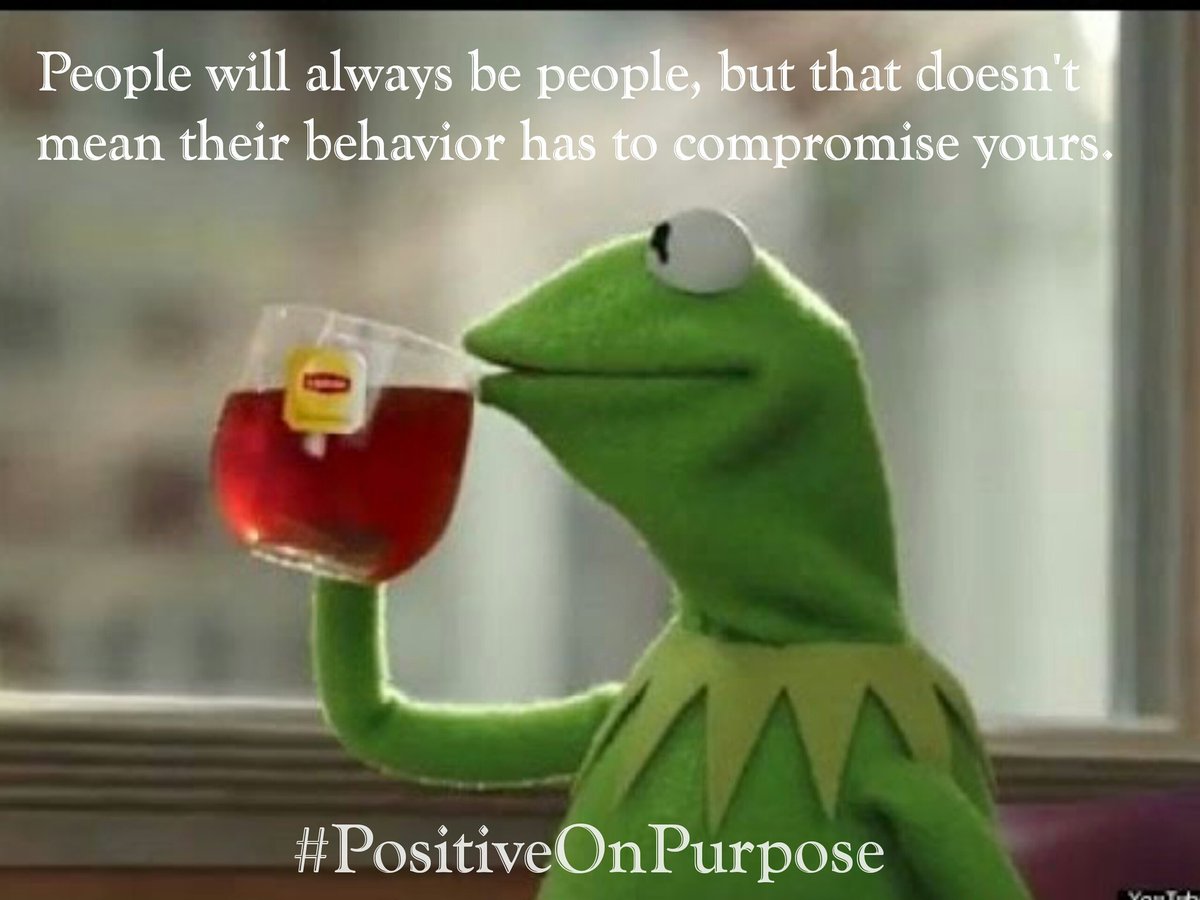 Adorable Kermit Meme Wallpapers for Your Device, image size:1200x900