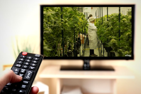 #Hollywood Cashing in on #Cannabis Culture - mmjne.ws/1KYdmHx