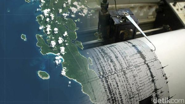 detikcom's tweet photo. Analisis Awal BMKG Terkait Gempa 7,8 SR dan Potensi Tsunami https://t.co/gC9iC4NiZe https://t.co/9qo8ECIzqv
