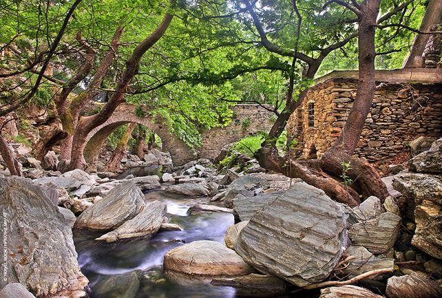explore_evia's tweet photo. Are you ready for a #walk ? #trekking #mountain #dirfis #nature https://t.co/MXM9SlDORF