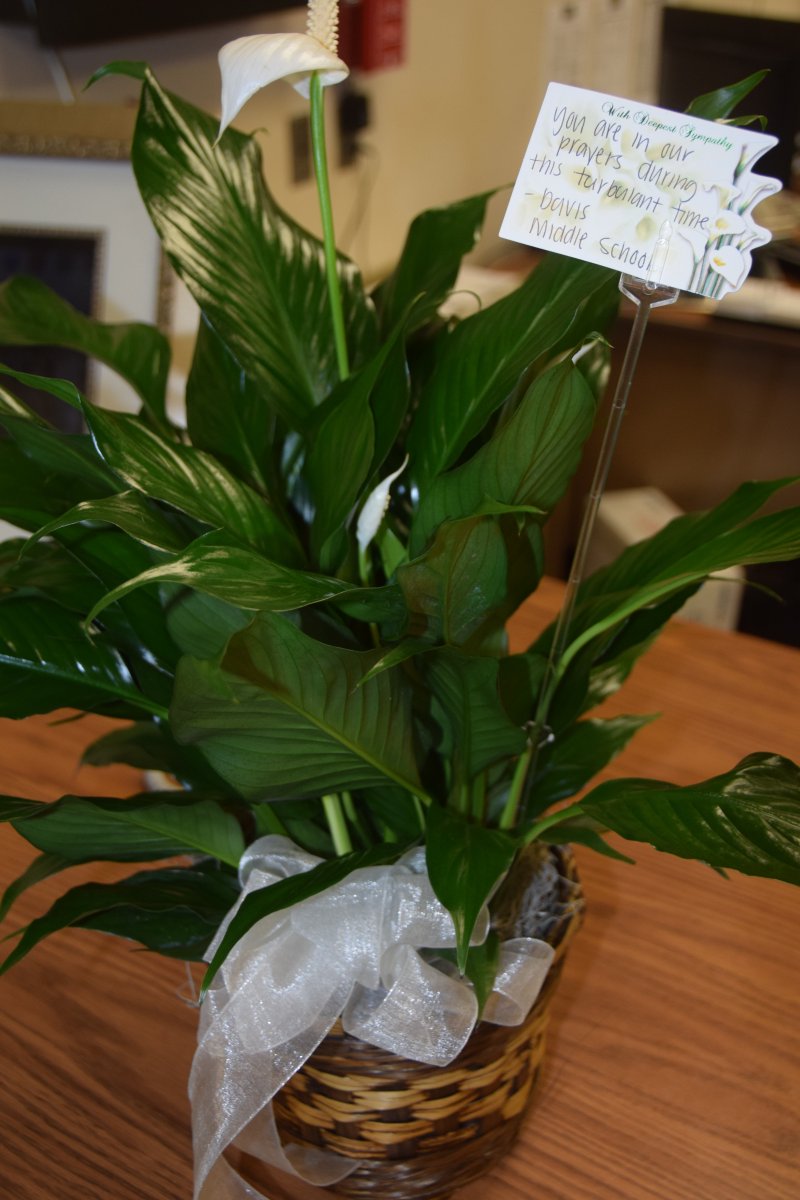 OPS_LewisClark's tweet image. Dear @OPS_Davis Thank you for the beautiful plant &amp;amp; the prayers! Both are appreciated beyond words! #OPSstrong