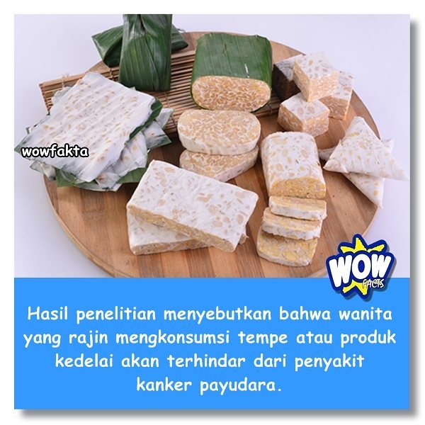 Faktagram hari ini: #tahukahkamu #tahukahanda #wowfakta #fakta #faktanya #wow #mostpopular … ift.tt/1Y0Lsgh