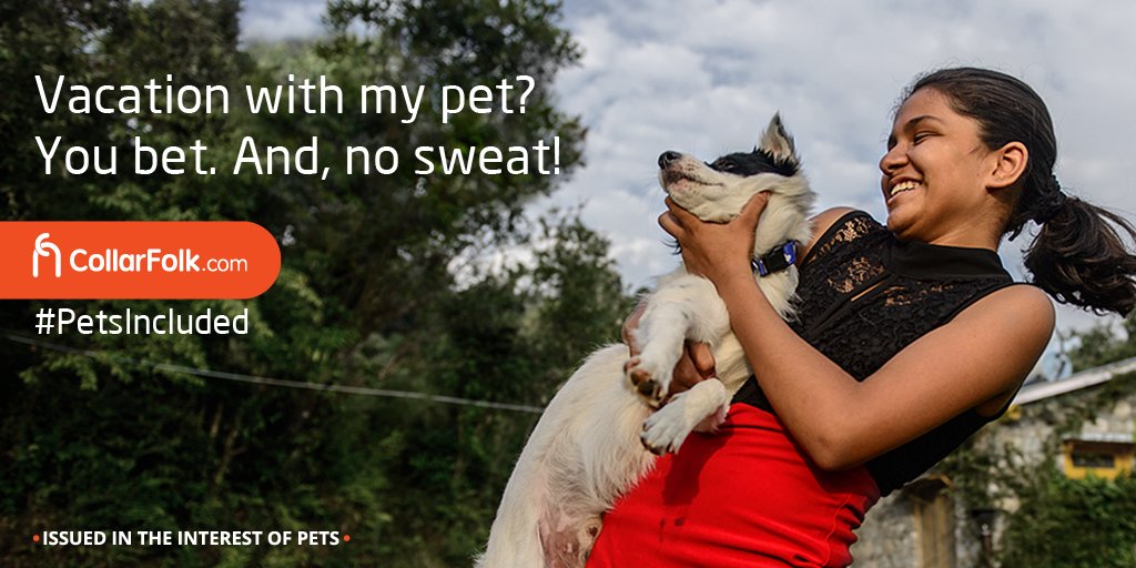 CollarFolk's tweet photo. https://t.co/OsmBpdJHw2. Go on a vacation with your pet. We bet it is double the fun.
#PetsIncluded #PlanAVacation https://t.co/wXR4XHxGGm