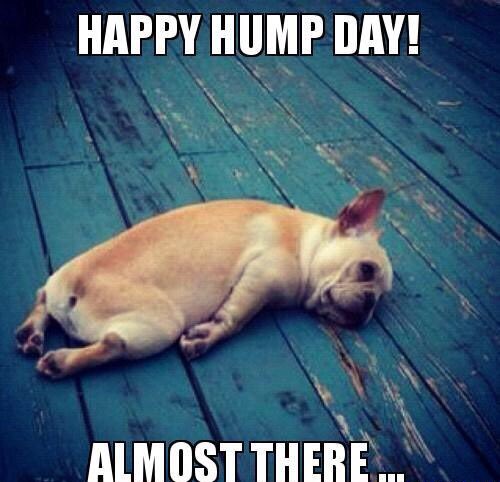 NoFilterRTA's tweet photo. Happy #HumpDay , you got this! No show today but we'll be back next week! https://t.co/TxCOJsmfY8