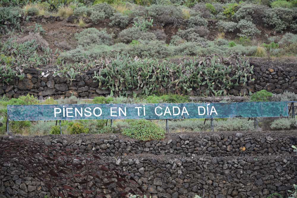 mensajeanoniman's tweet photo. "PIENSO EN TI CADA DÍA" #tenerife #cartelautopista #anoniman https://t.co/ORRX4sMBtC