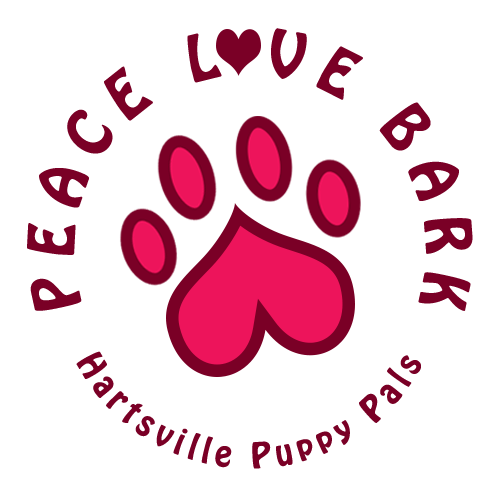 pineacrescivic's tweet photo. ExcelsiorBuilds supports The Hartsville Dog Park Project! https://t.co/H0tmVYJdaC. Merch too! #DogPark #LetsOpenIt https://t.co/ZlmiAU9I7O