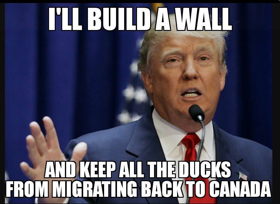 readyt0hunt's tweet photo. 😂😂😂 https://t.co/18mryXgNYf