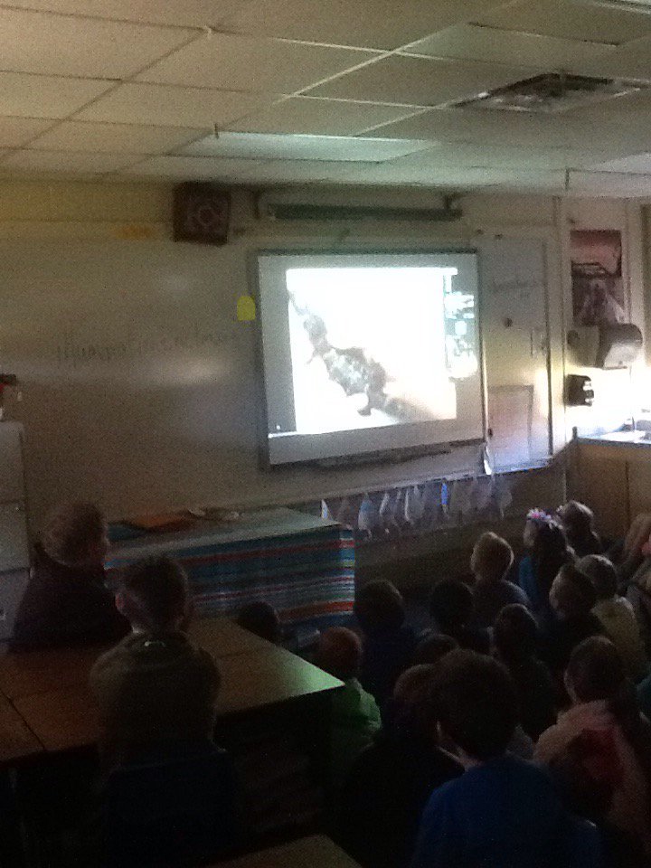 #azLEARNS #fwnaturecenter baby alligator! So cute!#wceloveslearning
