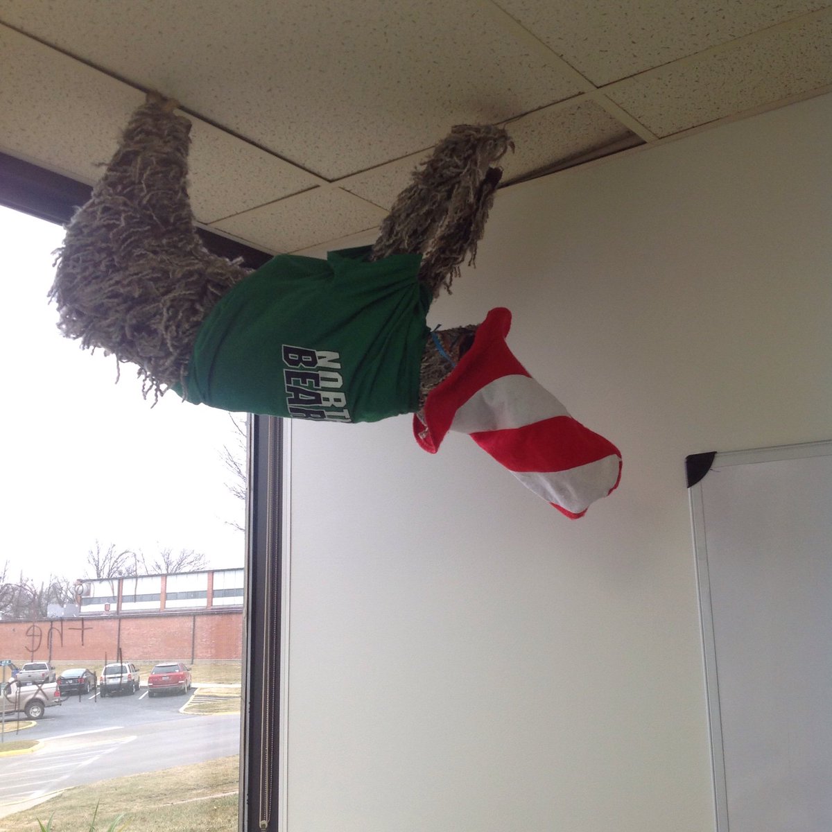 ClubOwens's tweet photo. Happy Birthday Dr. Seuss! #librarysloth is celebrating with us! https://t.co/NqxvYgLwAw