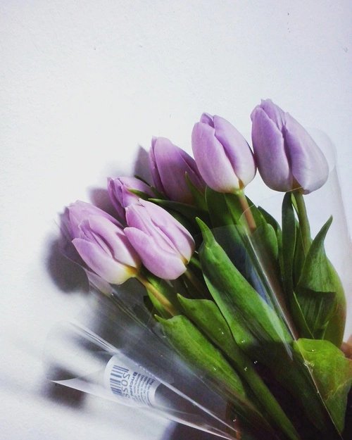 baek_overdose's tweet photo. @OverdosexCRP Happy birthday, love ♡ https://t.co/ky4yPXT7GM