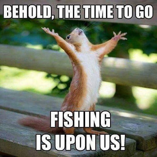 MeadowsOutdoors's tweet image. 👌👌