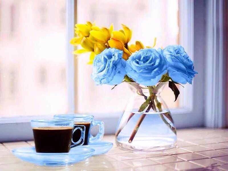SarahiArQui's tweet photo. 🍄🍄@WildbillKid @Arab_Arabism @lilibodo @damy_teamunidos @cristiana_carpe @TwitWhizz @yoma525i #Team1Diana https://t.co/mHJr7TTttR
