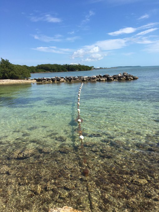 It's unbelievably beautiful here. I'm in paradise. #FloridaKeys https://t.co/VSsLHpKpGk<a href="/tag/floridakeys"class="tags"><span>#floridakeys</span></a>