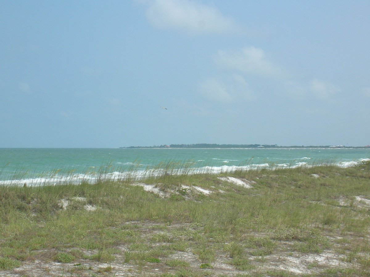 FLStateParks's tweet image. Read a #Florida favorite: "Yesteryear I Lived in Paradise: The Story of Caladesi Island" by Myrtle Scharrer Betz.