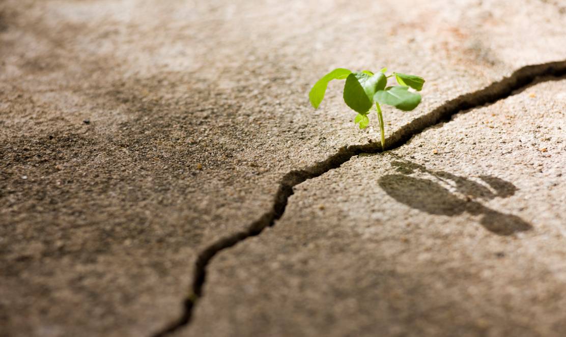 PBMaterials's tweet photo. What you need to know about preparing your concrete for spring weather #PBMaterials https://t.co/w3IUvnoMe8 https://t.co/CZp4rJuuIe