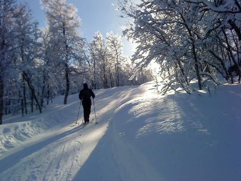 A perfect winter day. #xcski  <a href="/dalseter/">grethe gillebo</a>  <a href="/visitnorway/">Visit Norway</a>