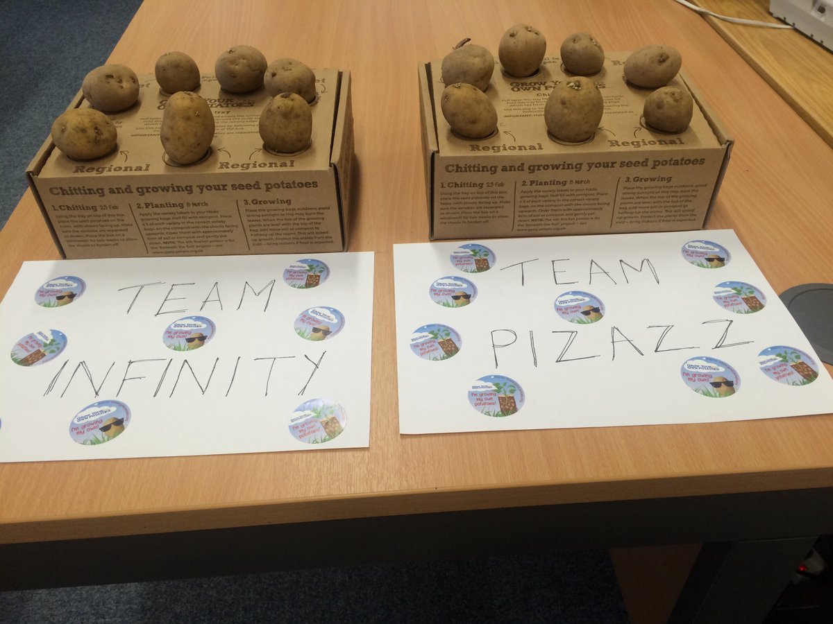 norfolkshow's tweet photo. The RNAA team are having a ‘potato off’ for the @potatoes4schools #growyourownpotatoesprojects #whosegoingtowin https://t.co/L6adhl5Q7d