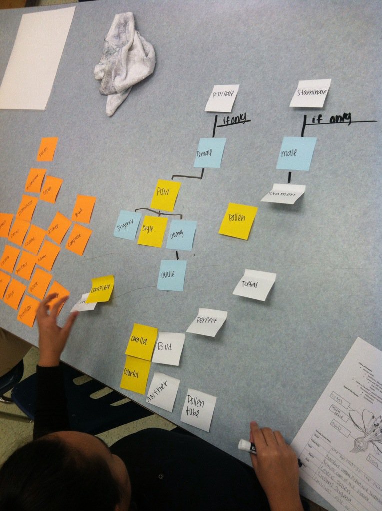 MrsAgTeacher's tweet image. Low tech version on @case4learning Plant 4.5.1 Flower Concept Map #networkdown #improvising