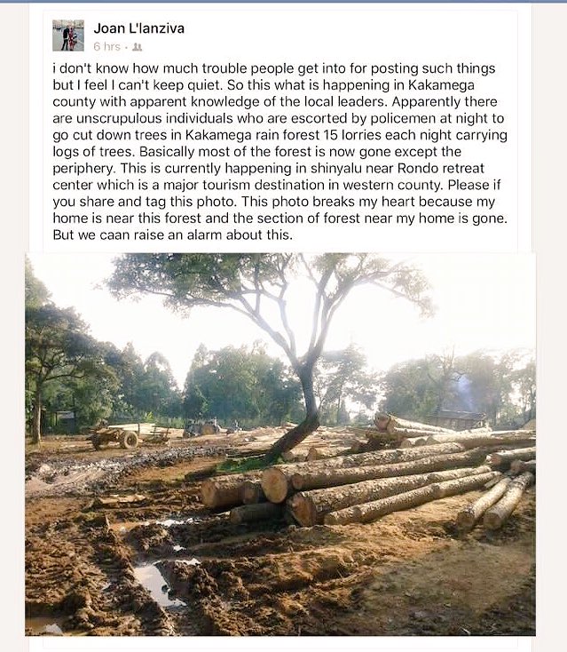 bonifacemwangi's tweet photo. Cabinet Secretary for Environment @JudiWakhungu are you aware?@JBoinnet your officers are protecting forest rapists? https://t.co/lbZLGHPsoZ