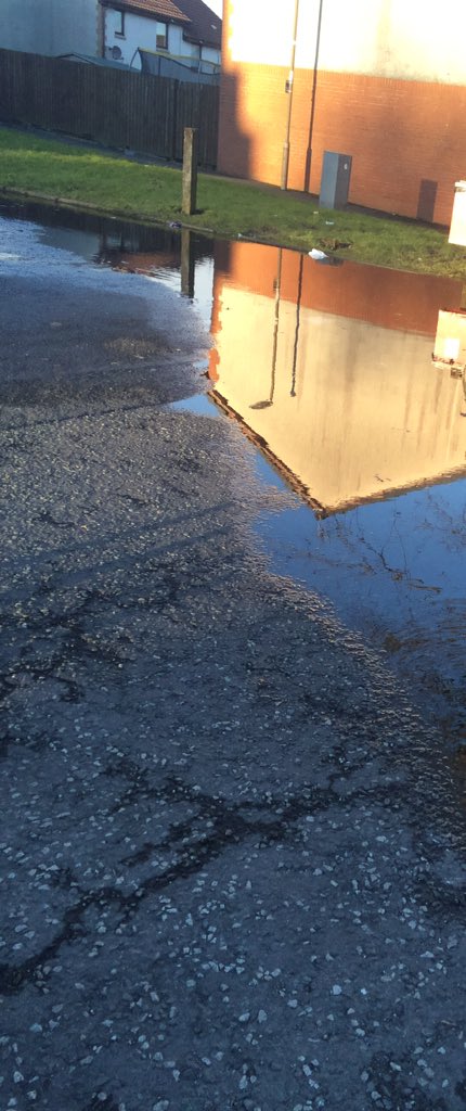 Ally Wilson tweet media