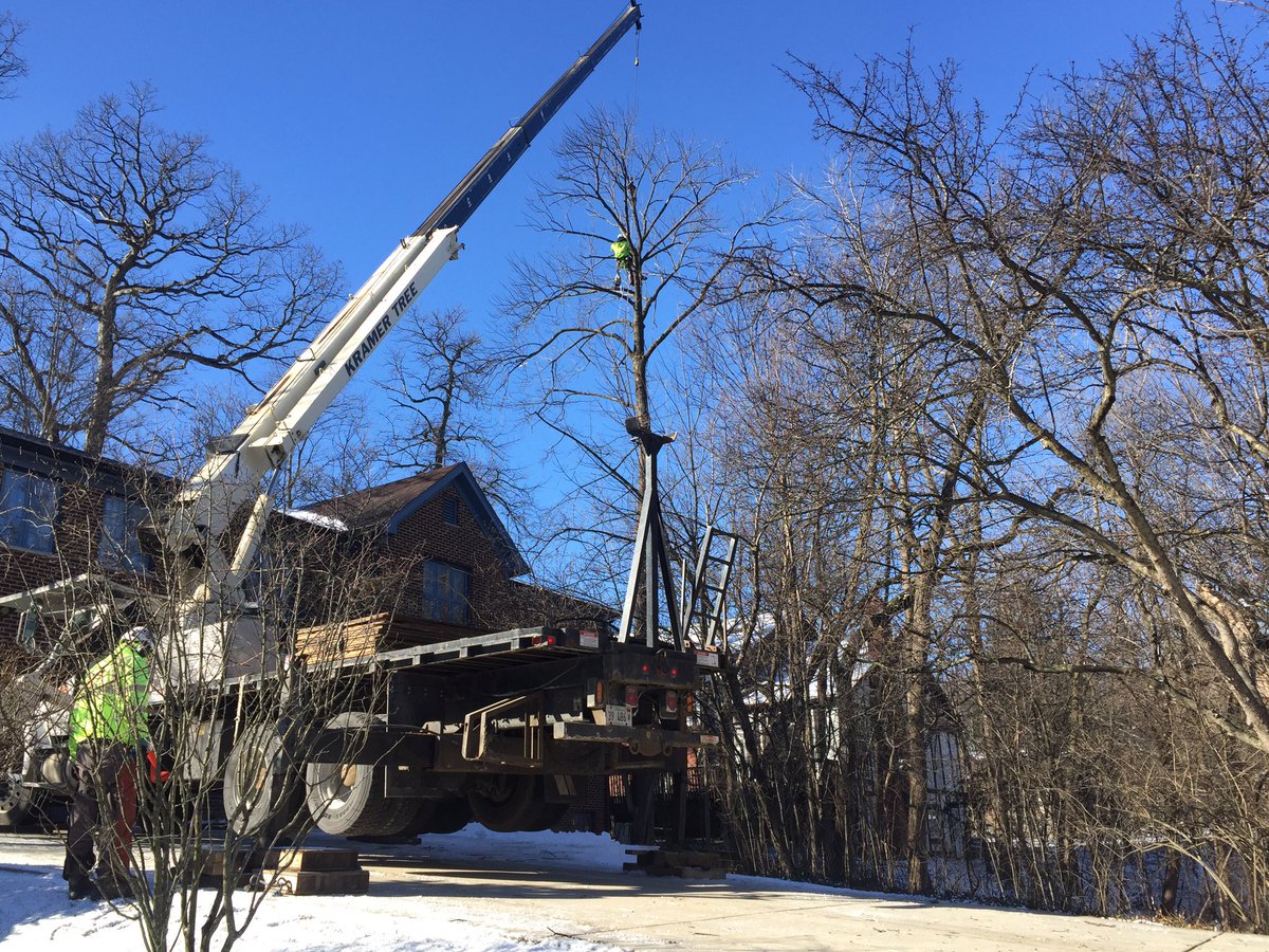 KramerTree's tweet image. Crane assisted tree removal #kramertree #professional #safetreework