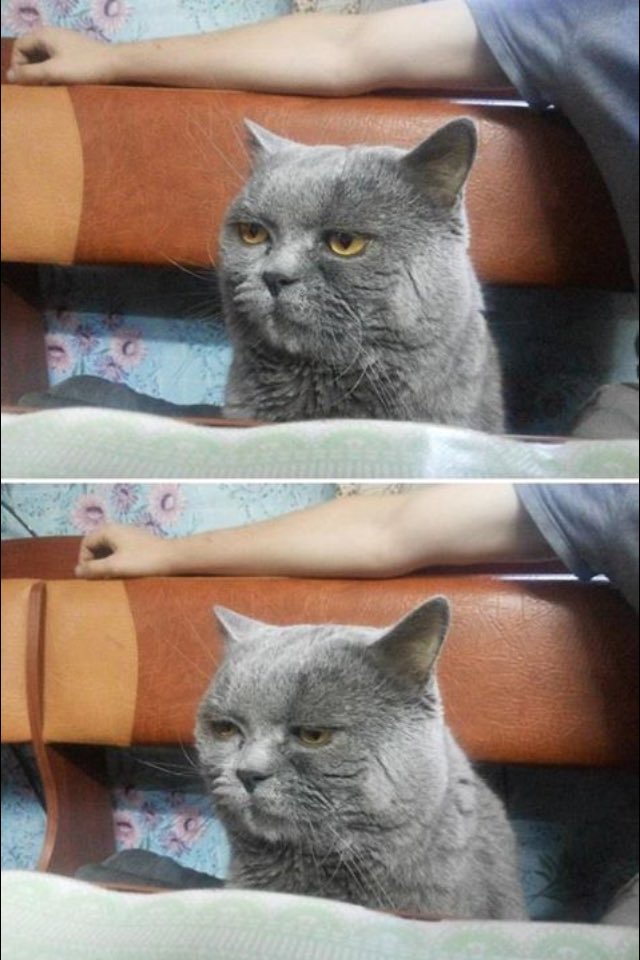 DevvCS's tweet image. "Wow. Your sooooo funny"