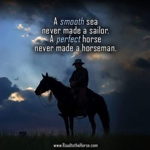 A perfect horse never made a horseman🐎 #horses #equestrian #perfect #horseman #equestrianhour #EquineHour