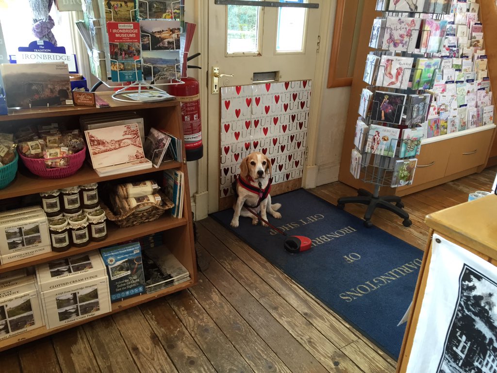 Raffa2006's tweet image. Today on my holibobs I saw a pretty bridge, got a biccy bone in da dog friendly cafe and went shopping🐶