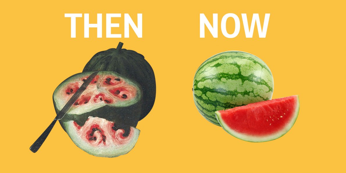 Here's what fruits and vegetables looked like before we domesticated them - read.bi/1SggMqZ