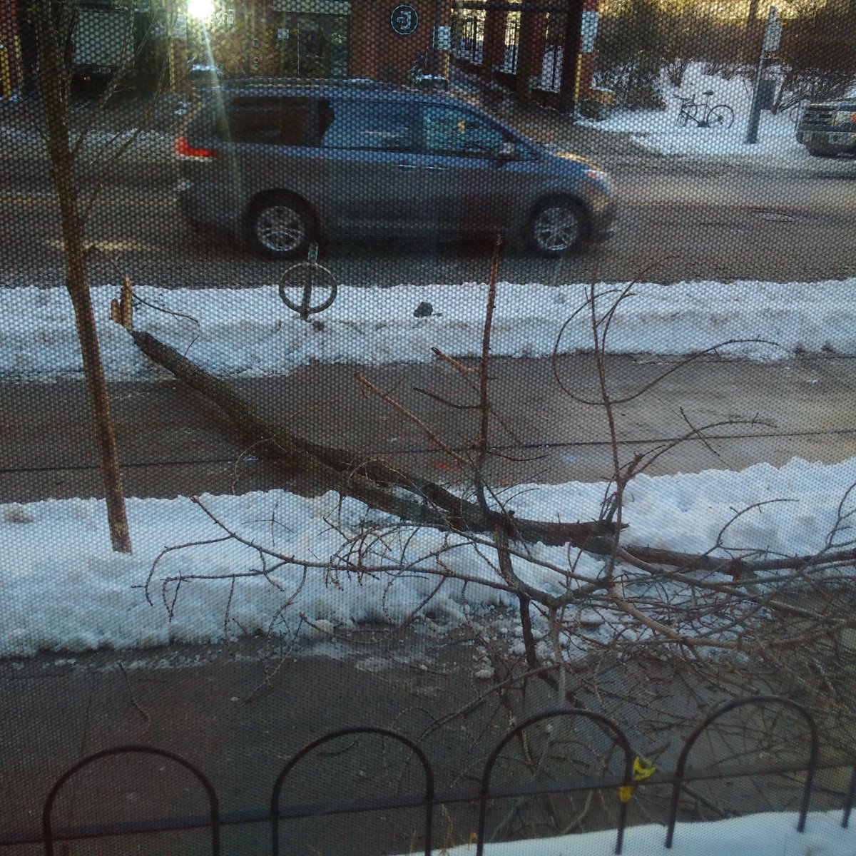 Boudreau_Ideas's tweet photo. JOR ground floor life @ryersonu | A truck just backed into the #RUArts tower & killed a mature tree! #savecitytrees https://t.co/4SR1utSvLR