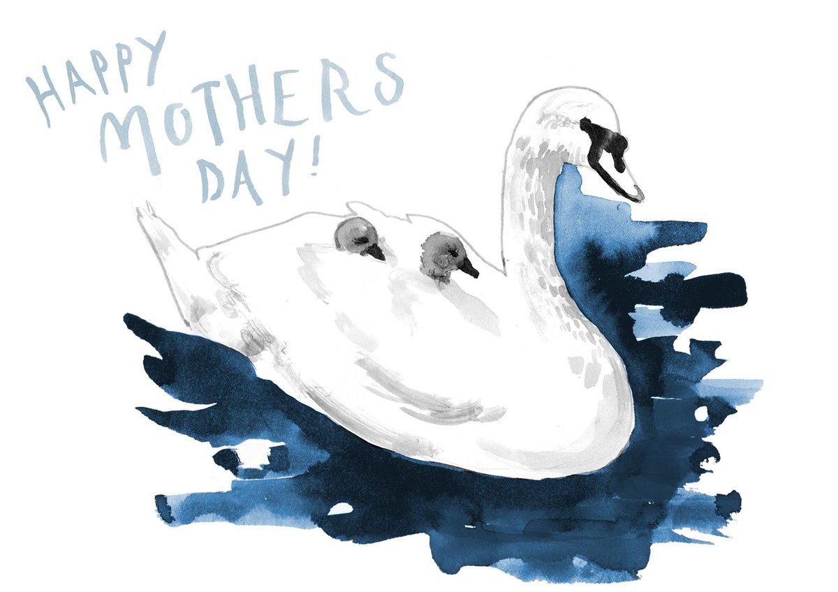 PHLees's tweet photo. Thortful Just in time for mothers day - Use code E605SF5P for 50% off. https://t.co/ugZrQIECle