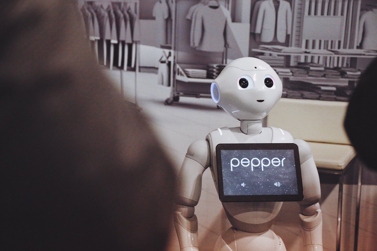 Sasha Ortega tweet media