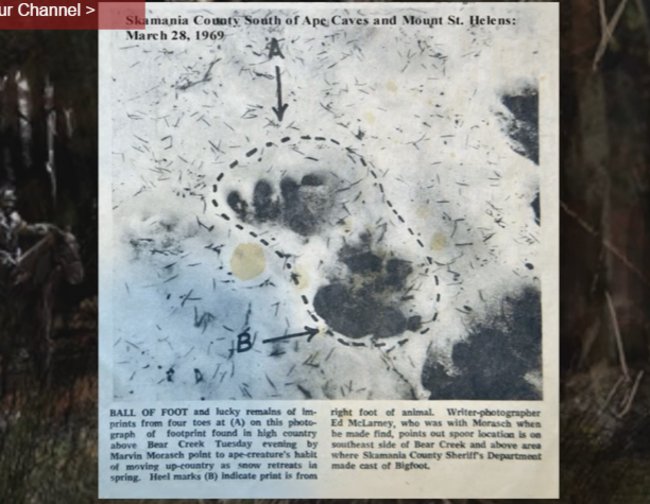 CryPtoReports's tweet photo. Historic Bigfoot Sightings and Encounters everyone should know - https://t.co/gvdsPvkvVf #bigfoot #sasquatch https://t.co/AmdBDZehiY