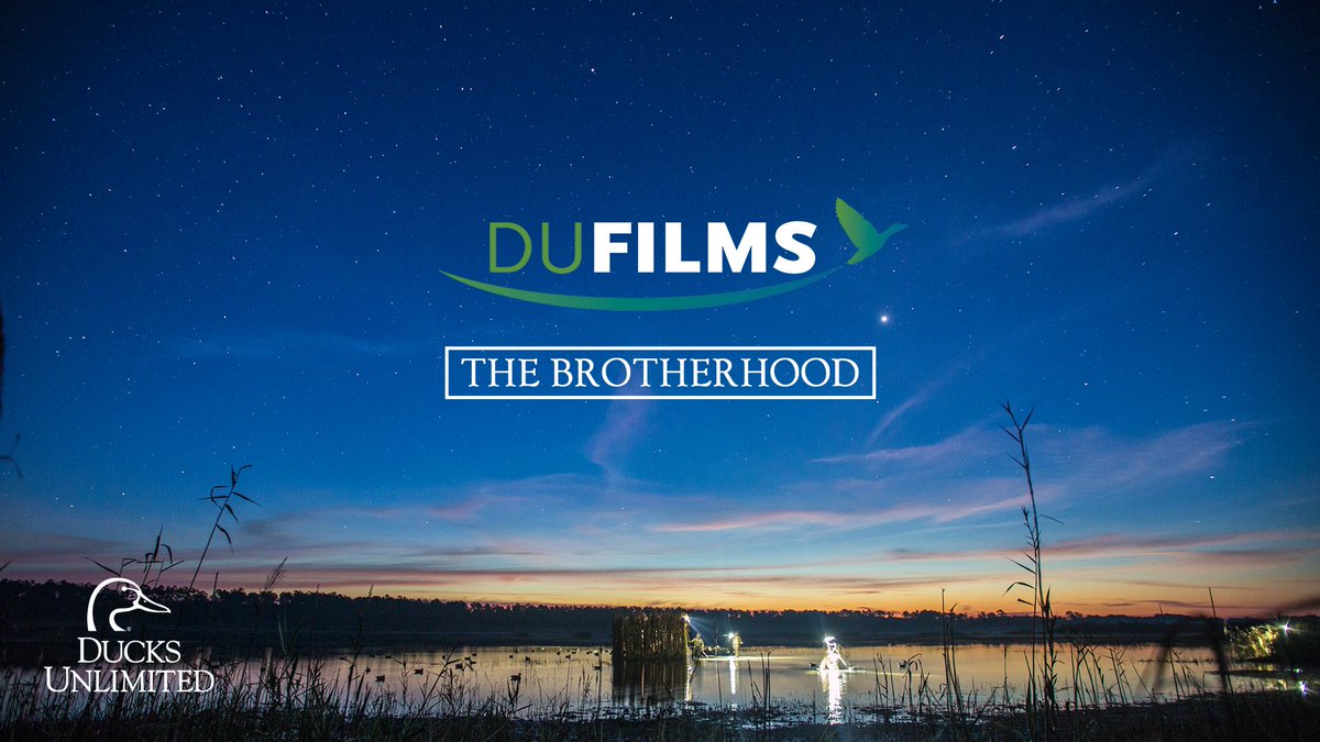 DucksUnlimited's tweet photo. Watch the newest DU Film “The Brotherhood” at https://t.co/wtAOWfadY9 #DUFilms16 #hunting #conservation https://t.co/dultiAEJ1X