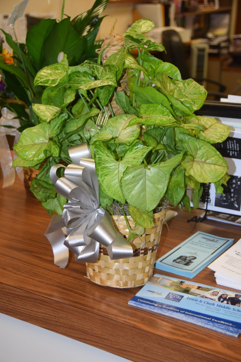 OPS_LewisClark's tweet image. @OPS_Buffett &amp;amp; @BuffettMagnet Thank you so much for the beautiful plant to lift our spirits. #OPSstrong #Grateful