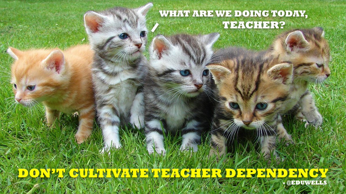 EduWabi's tweet photo. 5 questions to remove from your classroom https://t.co/nmjzDLDXBj via @EduWells #edchat https://t.co/S9Zb1mHk7q
