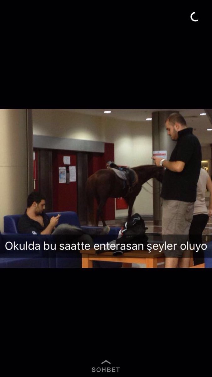 brtozt's tweet photo. Kültürde sıradan bir gün.. #at #horse #instaAT https://t.co/GnXZkPdzKD
