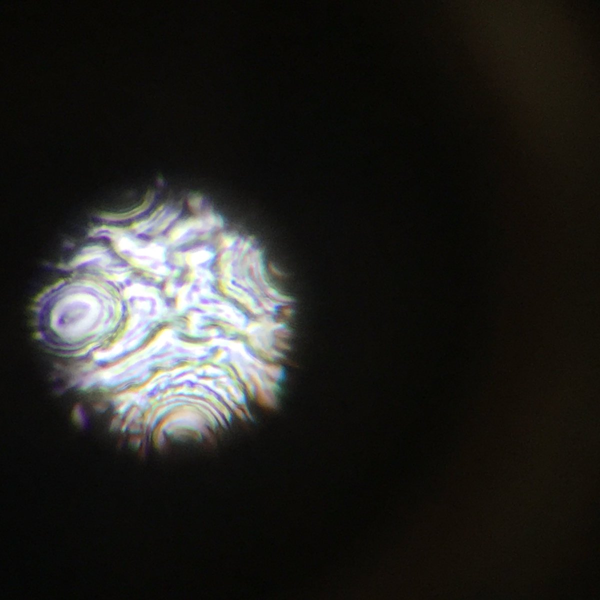 ScienceRamsey's tweet photo. Mrs Cook's Y10 class comparing the top and underside of a leaf for stomata #biology #microscopes #stomata https://t.co/sfnIfYStZd