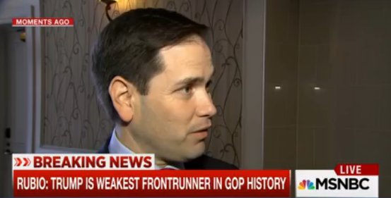 Who_Is_Trending's tweet image. Trending  -  .@MarcoRubio: @realDonaldTrump is the weakest front-runner in GOP history. on.msnbc.com/1oQiSlA 